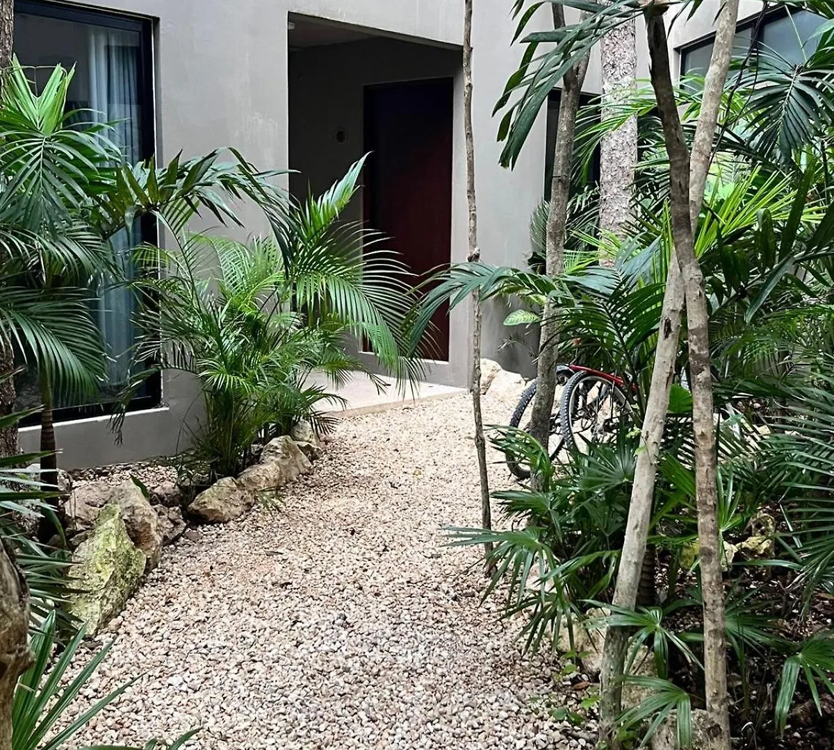Tulum Boho Beautiful Apt Special Fee For Bardo Daypass Daire